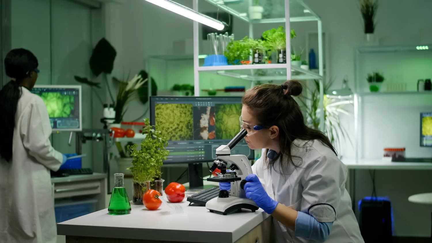 Biotechnology research laboratory — Katogen life sciences consulting